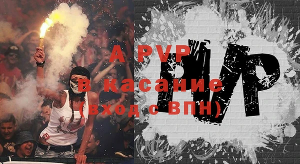 прущие грибы Гусь-Хрустальный