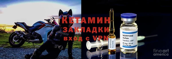 прущие грибы Гусь-Хрустальный