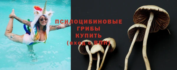 Альфа ПВП Горно-Алтайск