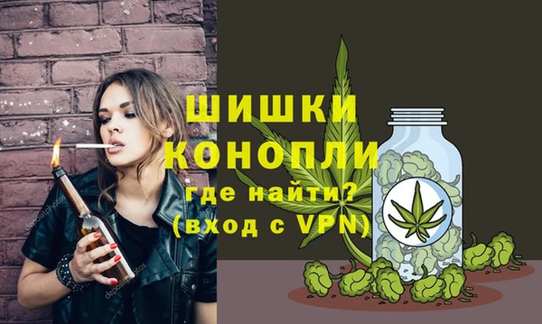 прущие грибы Гусь-Хрустальный