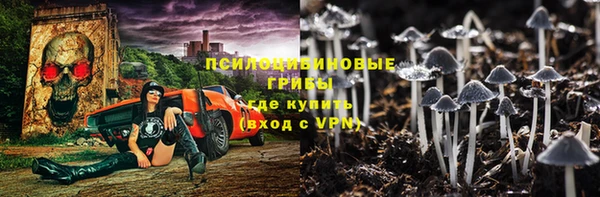 мяу мяу мука Гусиноозёрск