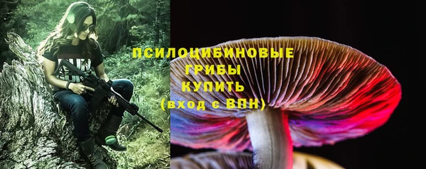прущие грибы Гусь-Хрустальный