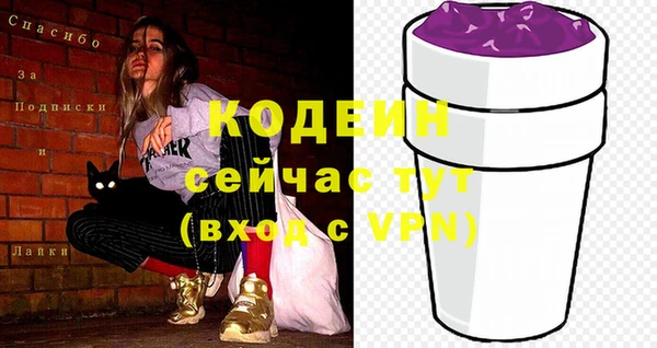 прущие грибы Гусь-Хрустальный