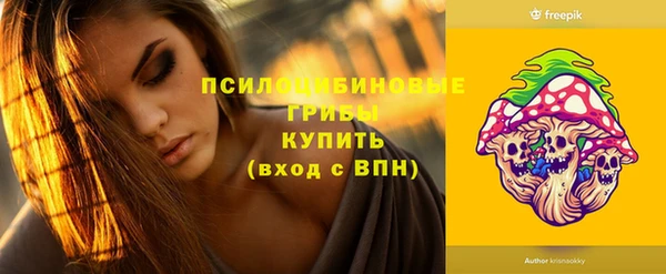 мяу мяу мука Гусиноозёрск