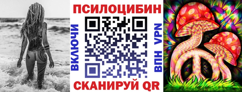 Псилоцибиновые грибы Psilocybine cubensis  цены   Москва 